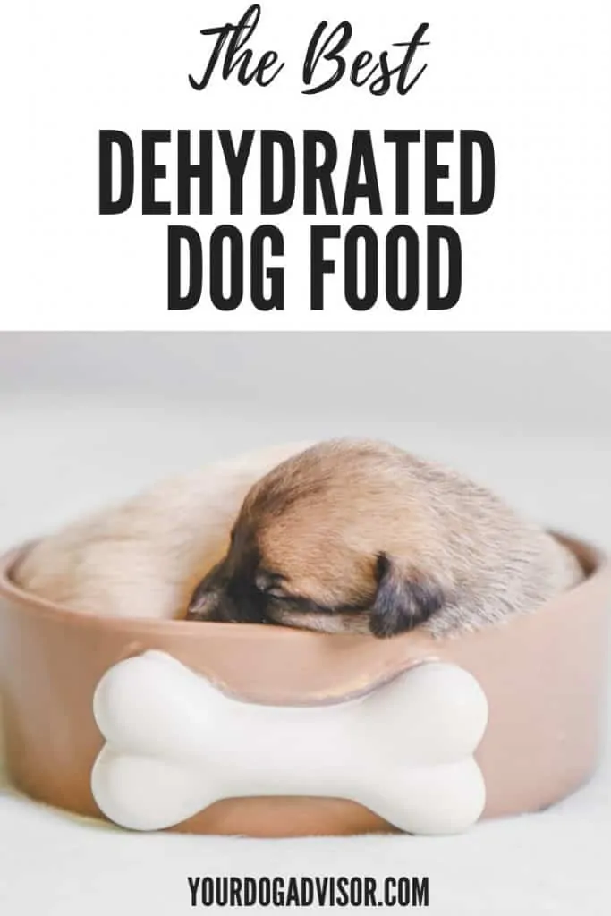 Dehydrated Dog Food Canva Image