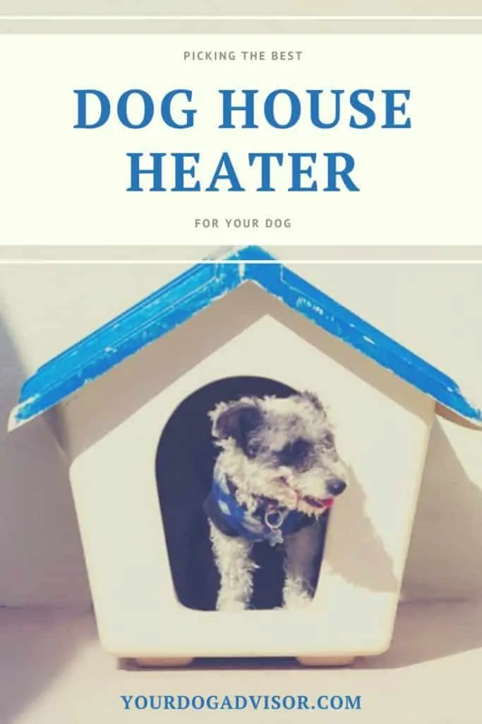 Dog House Heater Canva Image