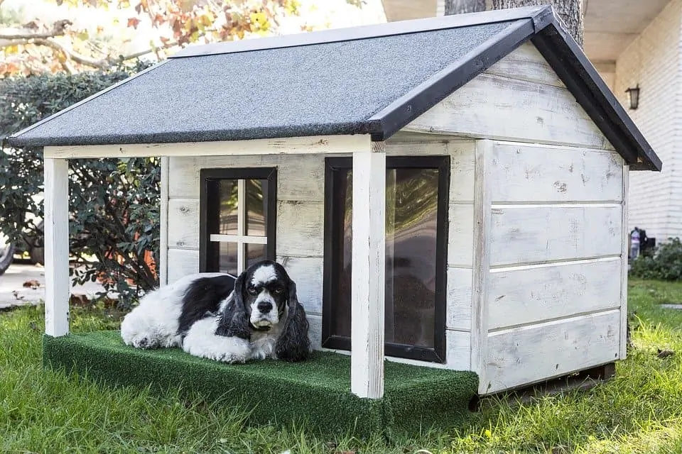 Pic 1 a dog laying on her doghouse porch