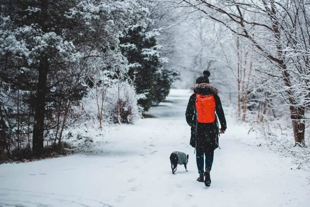 Pic 1 a woman and her dog walk in the snow