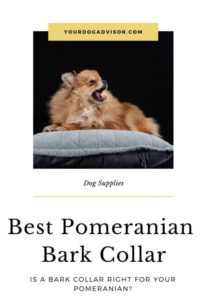 Pomeranian bark collar best sale