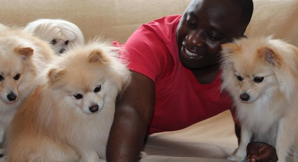 pic 1 a man in a red shirt with three pomeranians