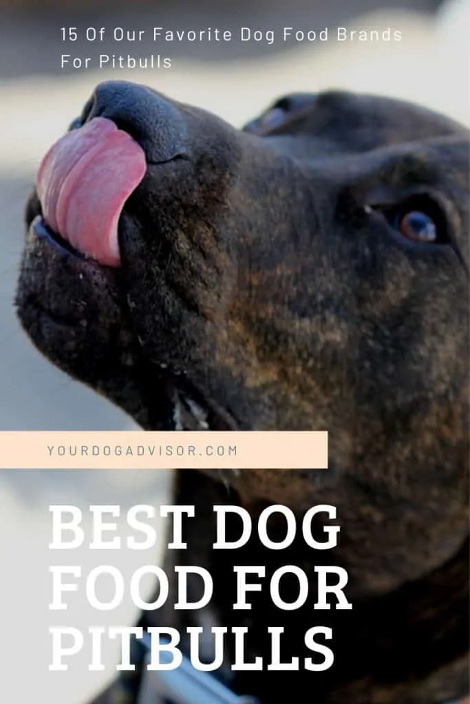 Best Food For Pitbulls Canva