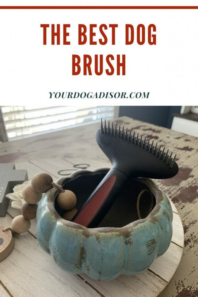 The Best Dog Brush Your Dog Advisor