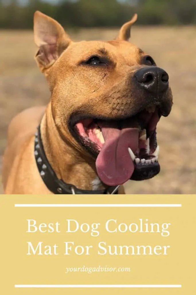 Dog Cooling Mat Canva