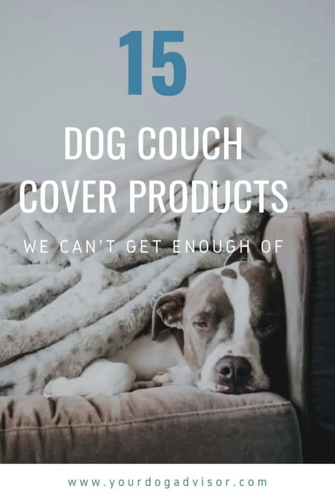 Dog Couch Cover Canva