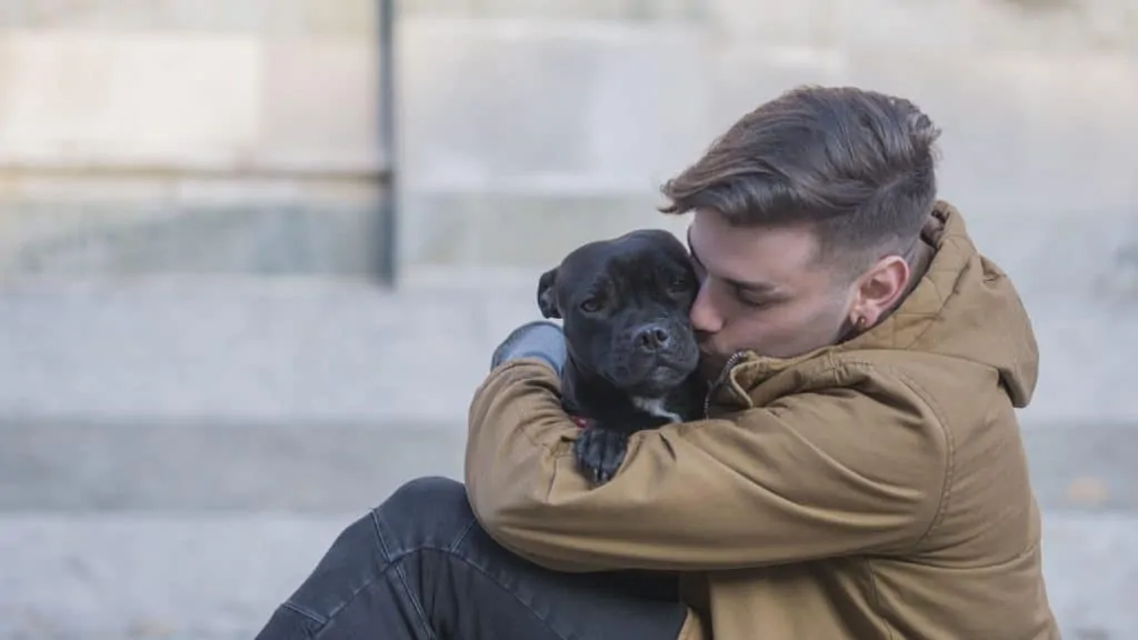 Pic 5 a man hugging a black pitbull puppy