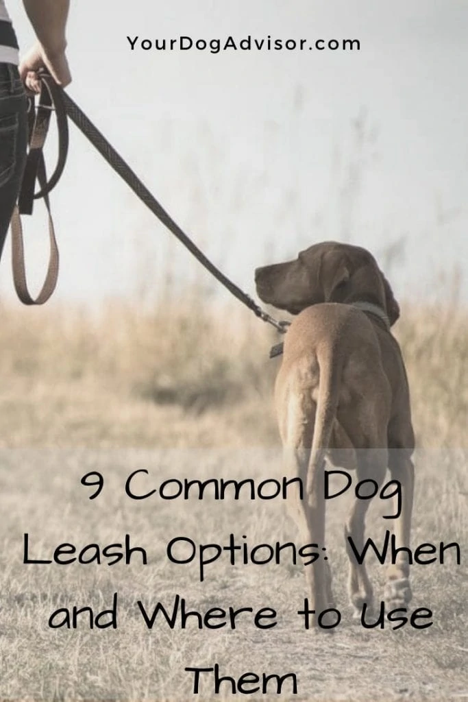 leash options