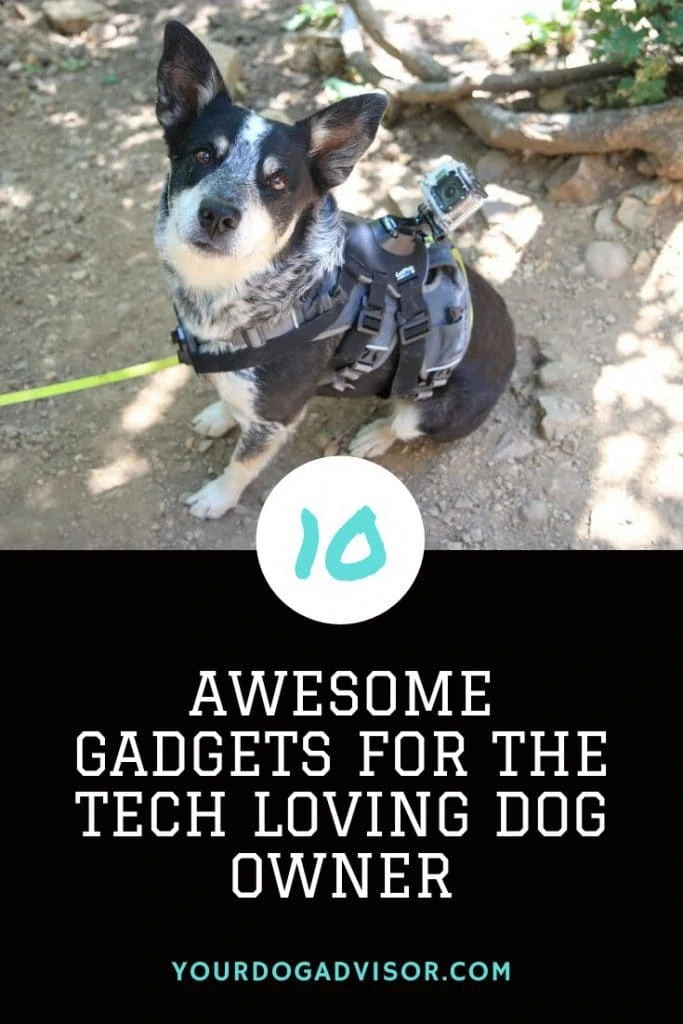 tech dog owner