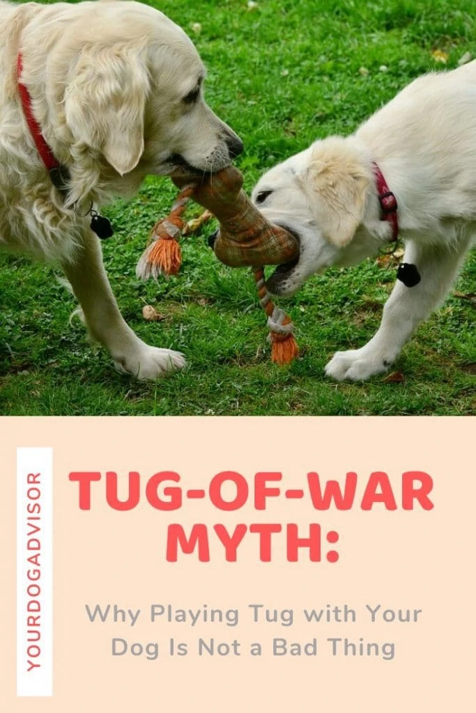 tug of war