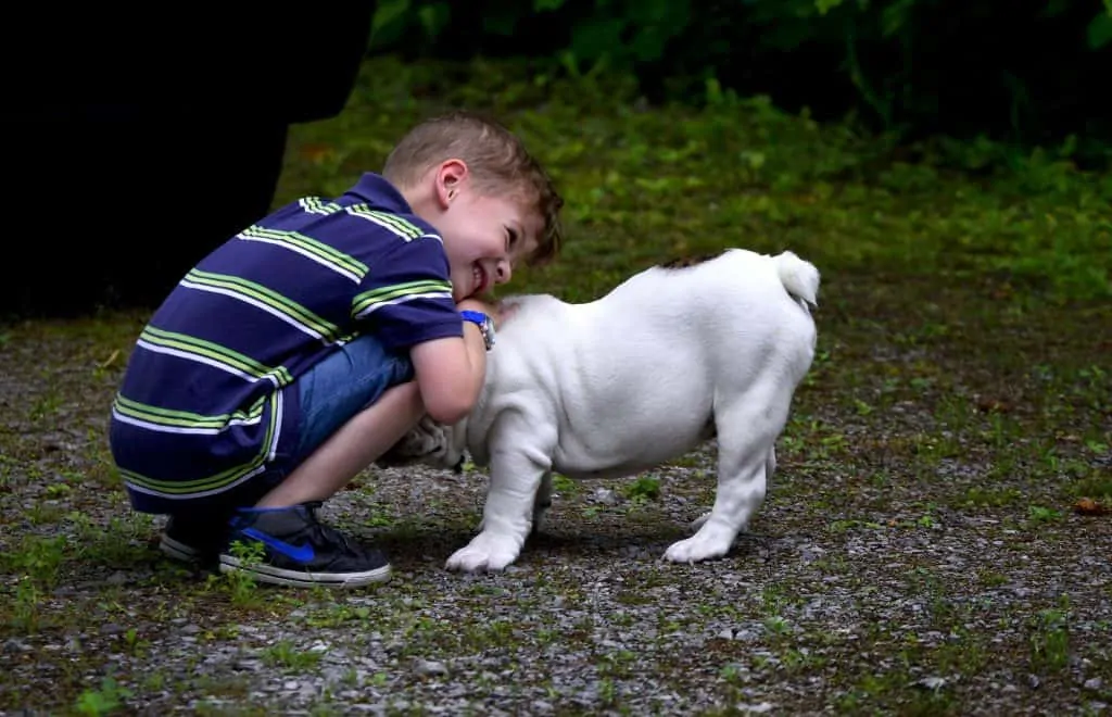 3 Child with bulldog pup