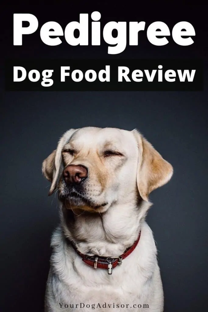 pedigree dog food review