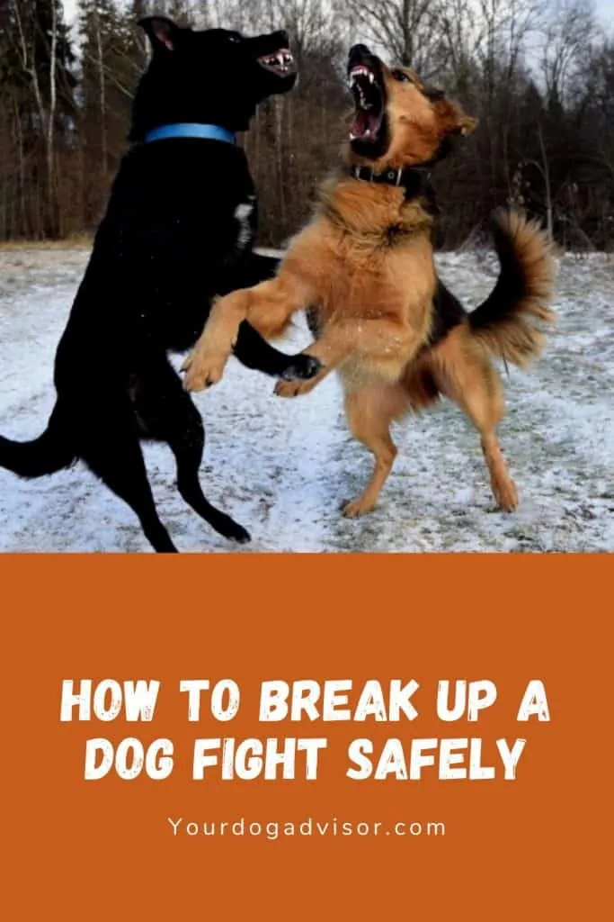 7 how to break up a dog fight safely