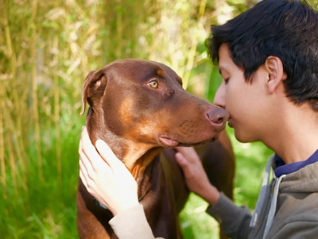 Pic 2 a man kisses his Doberman