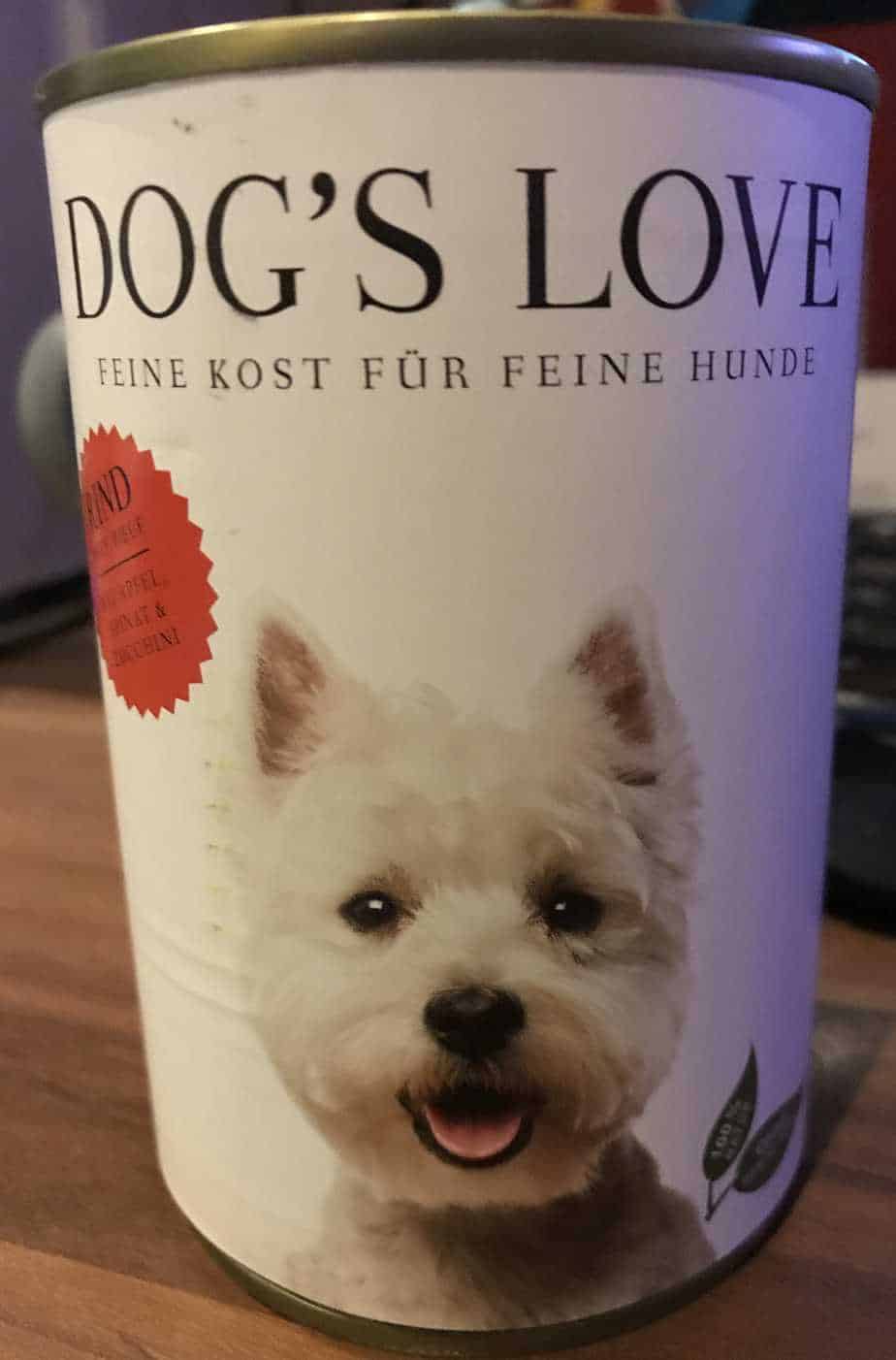 Why Does My Dog Lick Me? 6 Reasons Why Your Dog Advisor