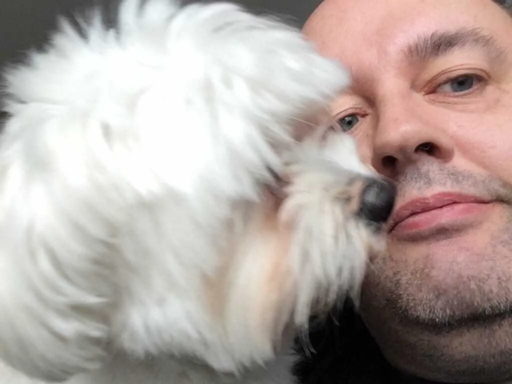 Why Does My Dog Lick Me? 6 Reasons Why 8