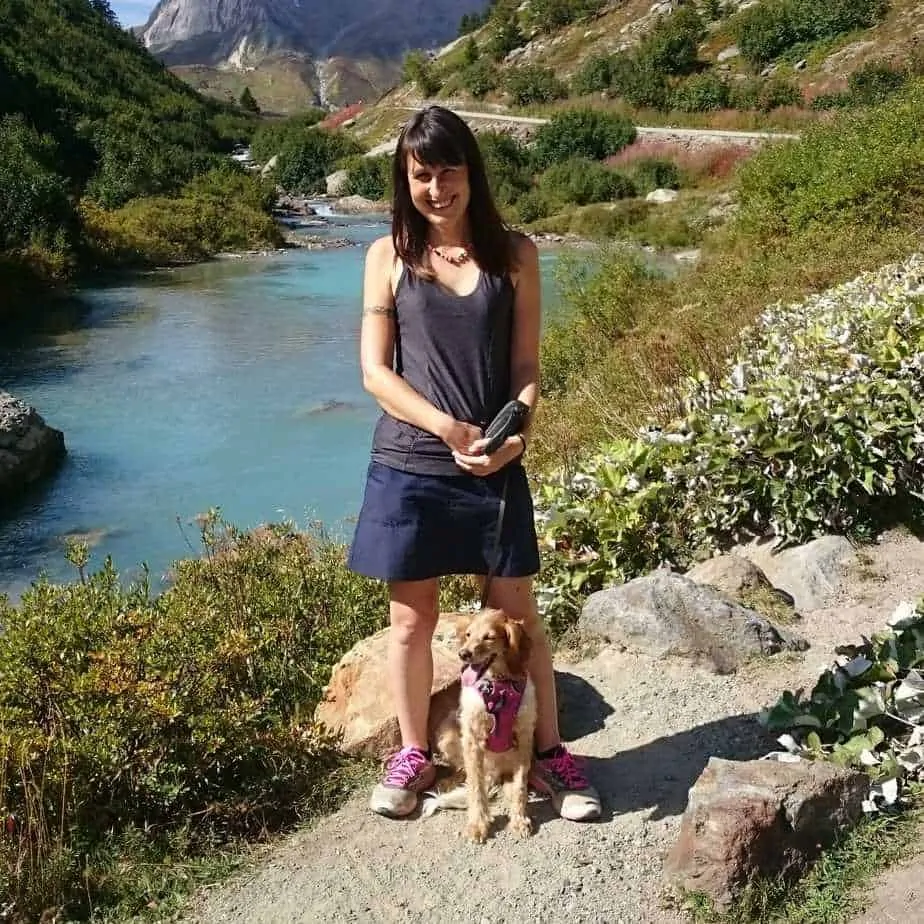 Tripawds: Helping Your Three-Legged Dog Live Their Best Life 6