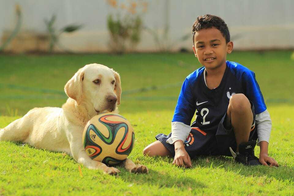 play dog for kids