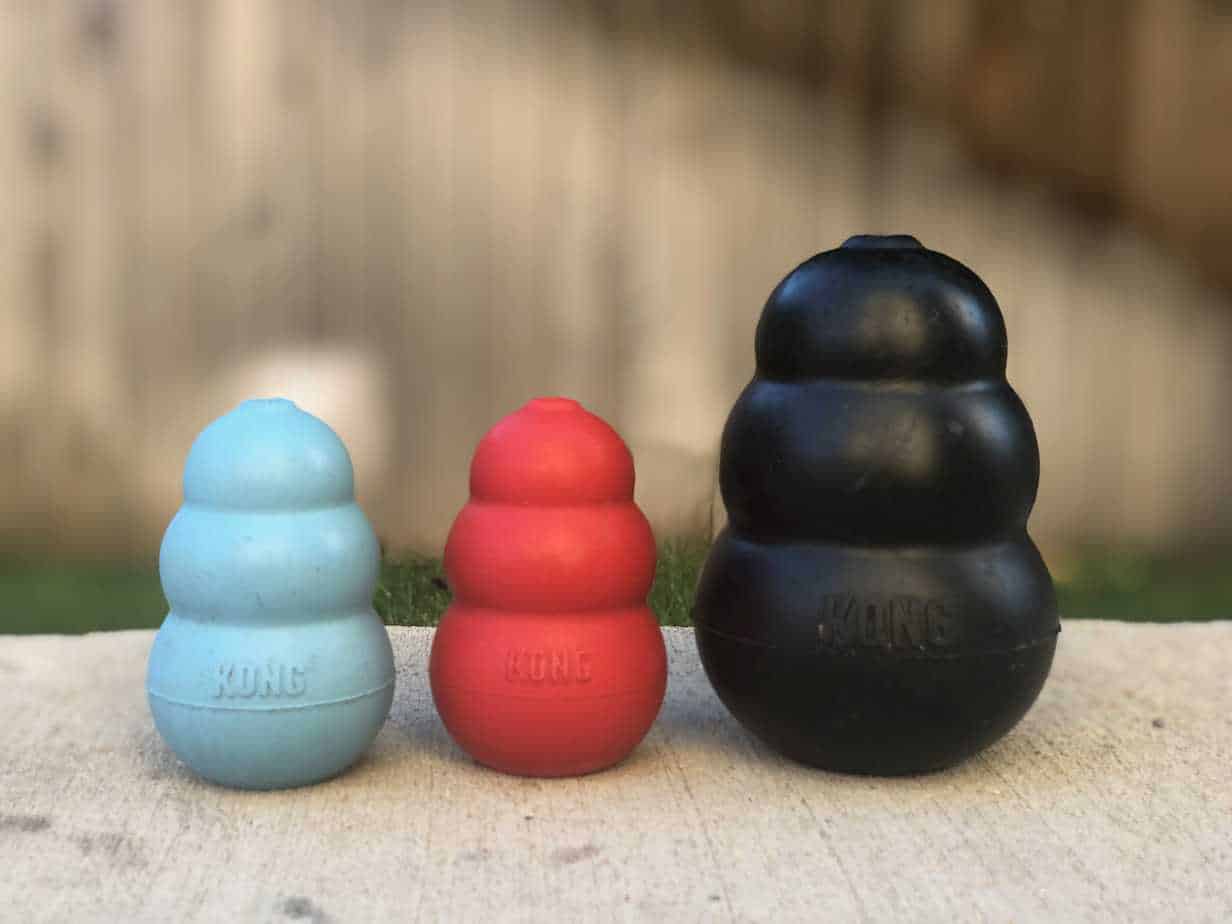 How to Stop Excessive Dog Barking 9 Tips That Work Your Dog Advisor