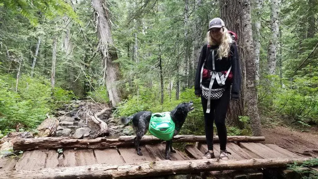 Best Dog Backpack - How to Choose the Best Dog Hiking Pack 1