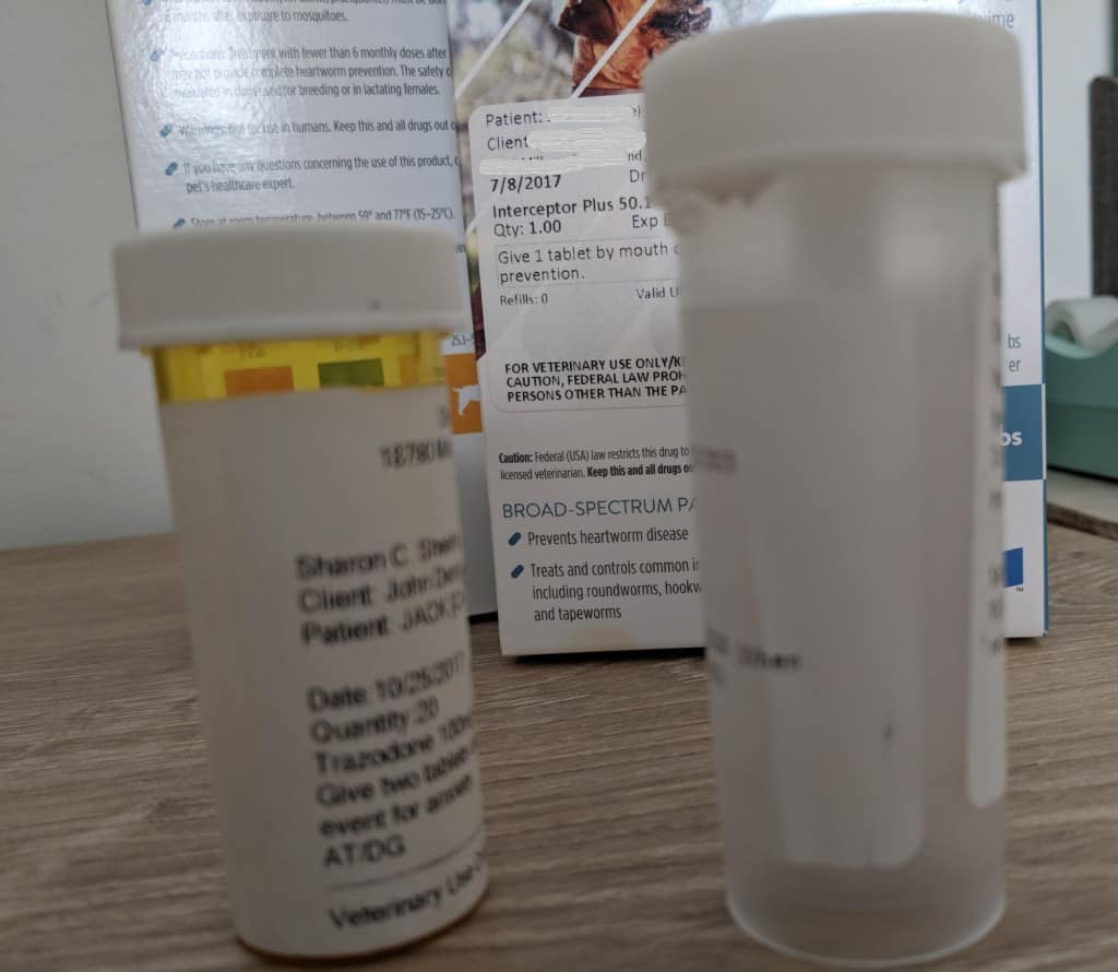 Everything You Should Know About Dog Shots Your Dog Advisor