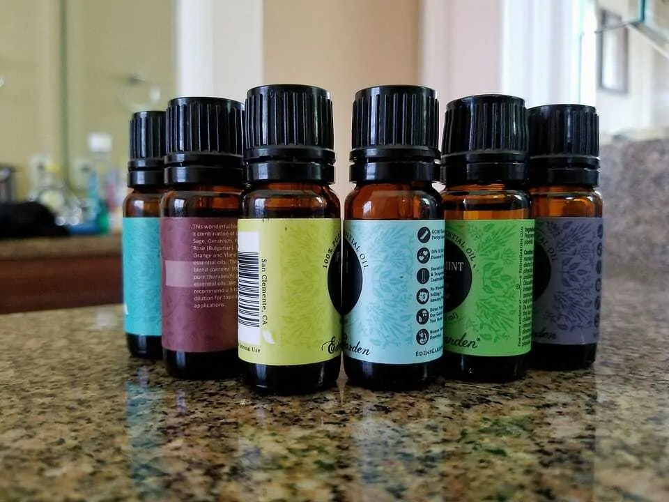 Essential Oils for Dogs: The Pros and Cons 2