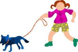 10 Common Dog Behavior Problems and How To End Them 6 10 Common Dog Behavior Problems and How To End Them 6