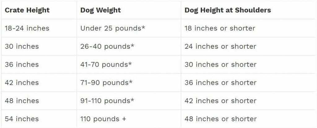 10 Common Dog Behavior Problems and How To End Them 10 10 Common Dog Behavior Problems and How To End Them 10