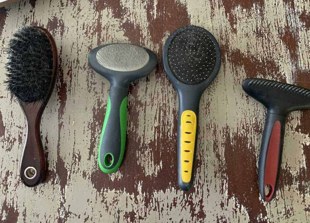 dog brush types