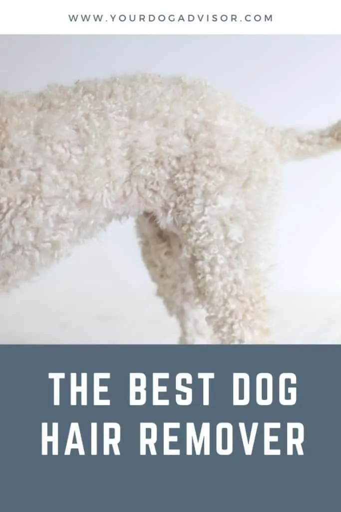 The Best Dog Hair Remover - Best Pet Hair Removal Tools Reviewed 8