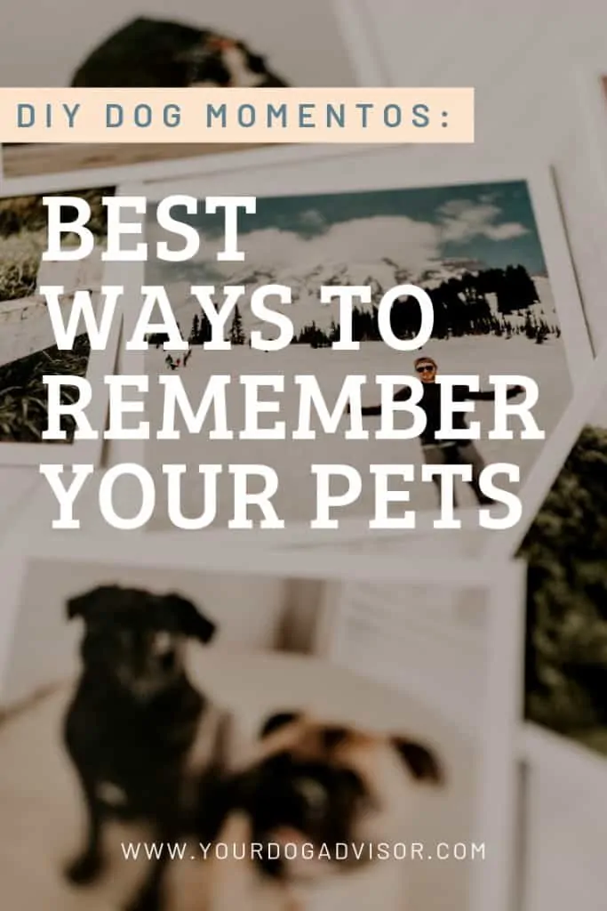 DIY Dog Momentos: Best Ways to Remember Your Pets 10