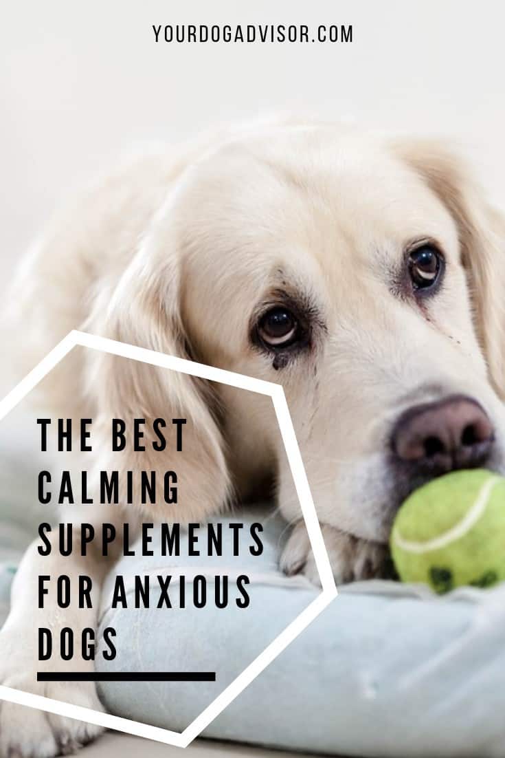 The Best Calming Supplements for Anxious Dogs Your Dog Advisor