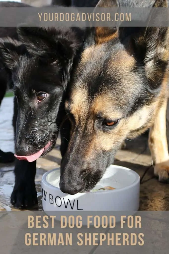 Best Dog Food For German Shepherds 5