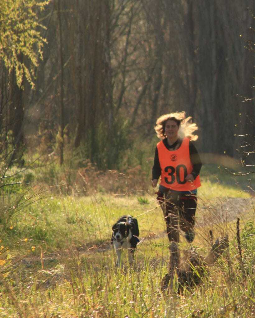 A High Energy Dog Owner's Survival Guide 3 A High Energy Dog Owner's Survival Guide 3