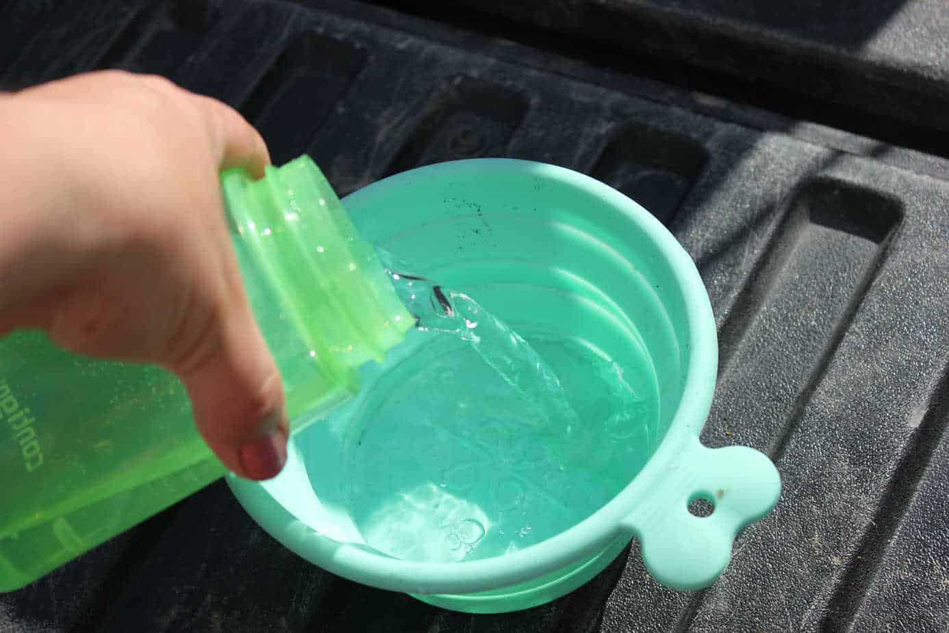 The Ultimate Guide to the Best Collapsible Bowls Your Dog Advisor