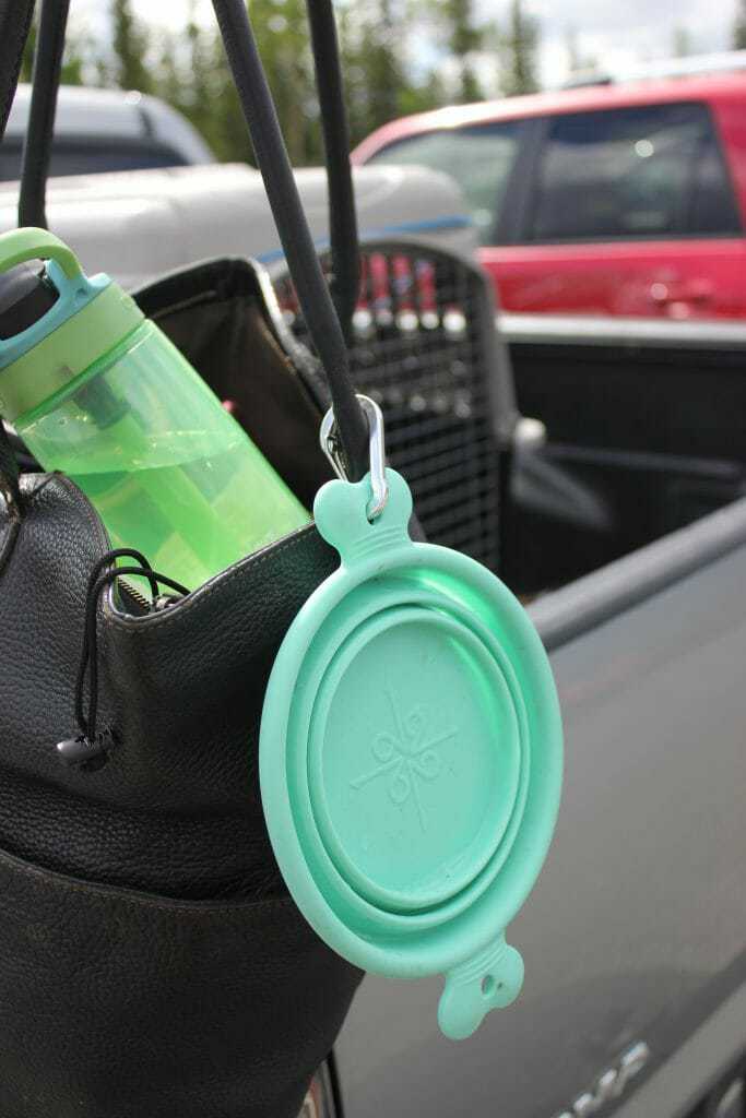 good2go collapsible bowl