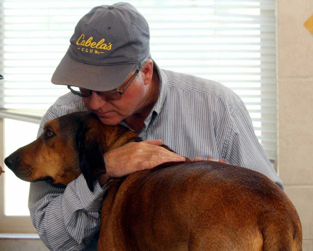 10 Places in Wyoming to Visit With Your Dog 5