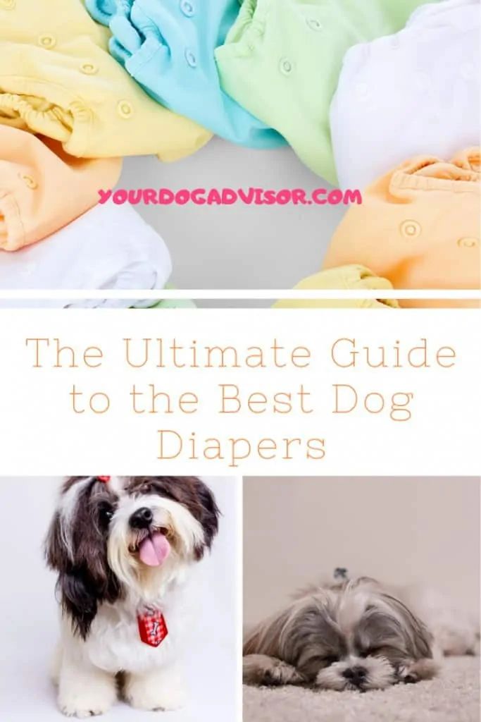 The Ultimate Guide to the Best Dog Diapers 5