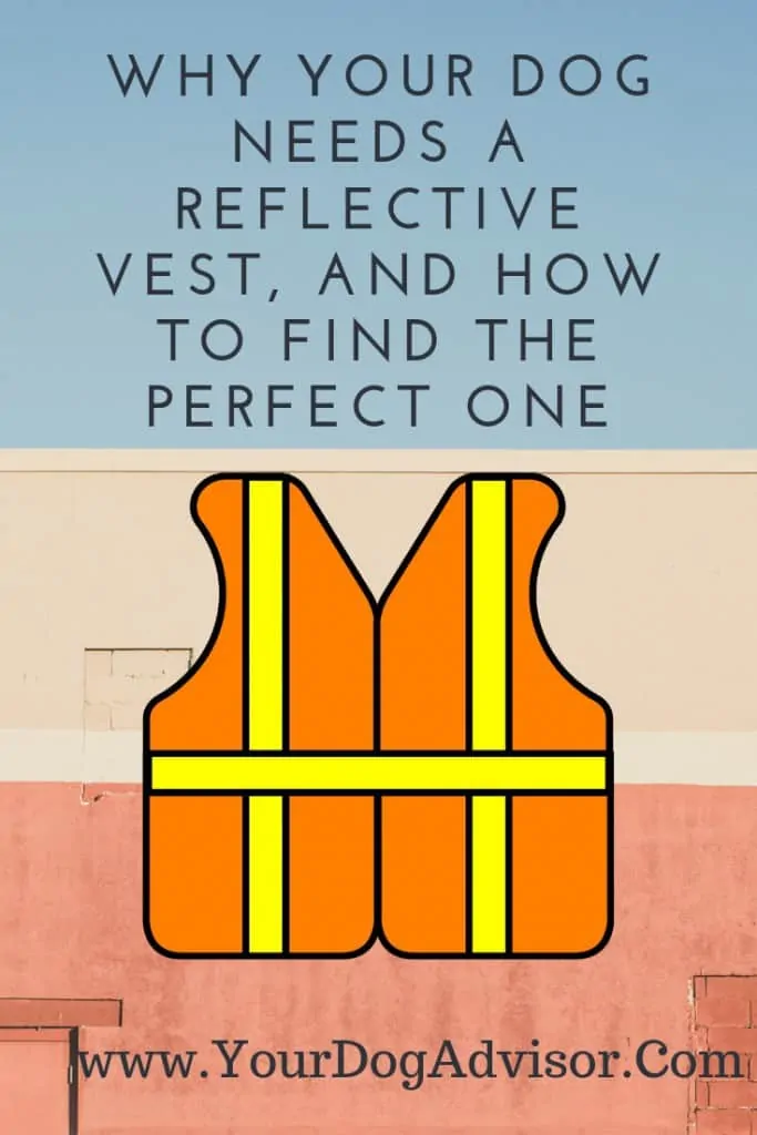 Why Your Dog Needs a Reflective Vest, and How to Find the Perfect One 4