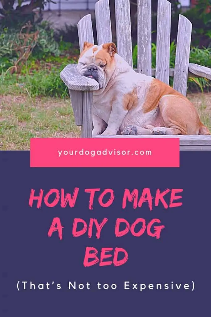 How to Make a DIY Dog Bed (That’s Not too Expensive) 5