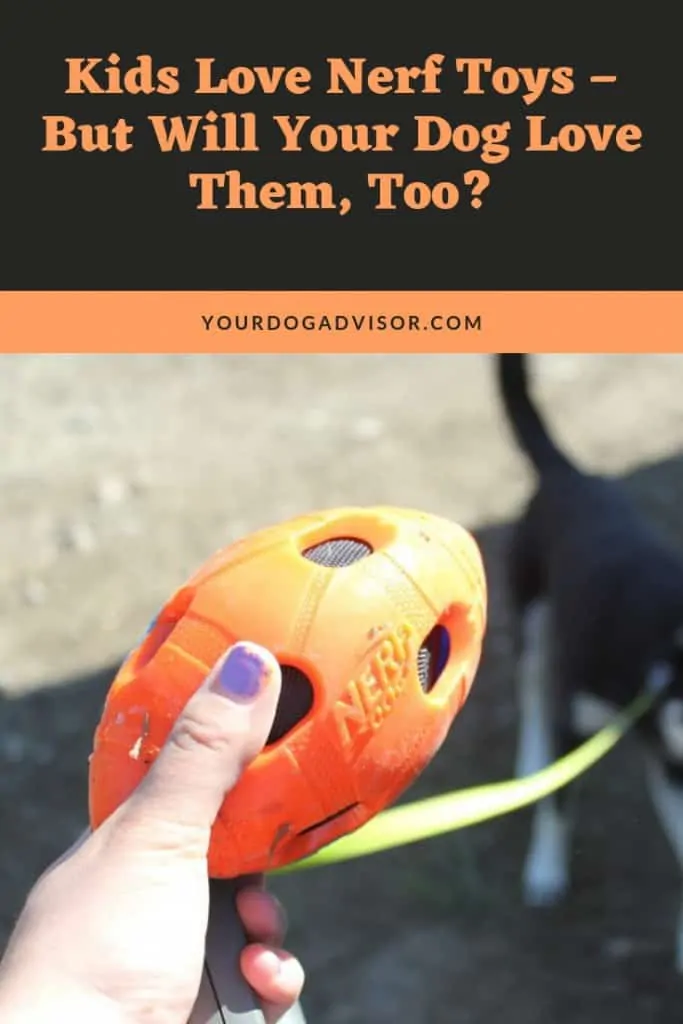 Kids Love Nerf Toys - But Will Your Dog Love Them, Too? 6