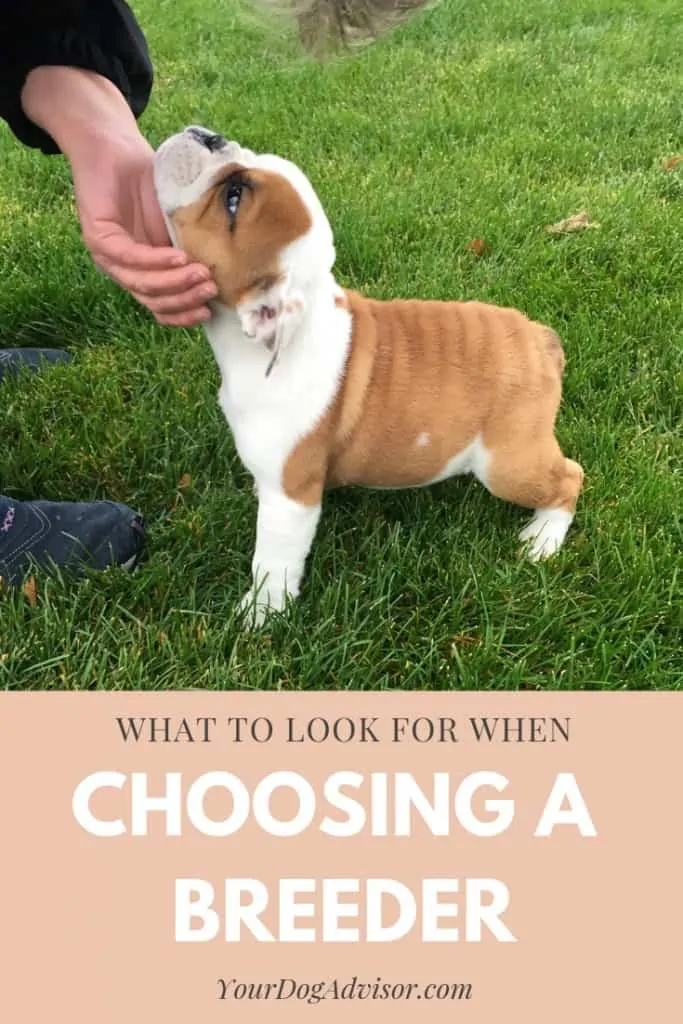 Ultimate Guide on How to Choose a Breeder 9