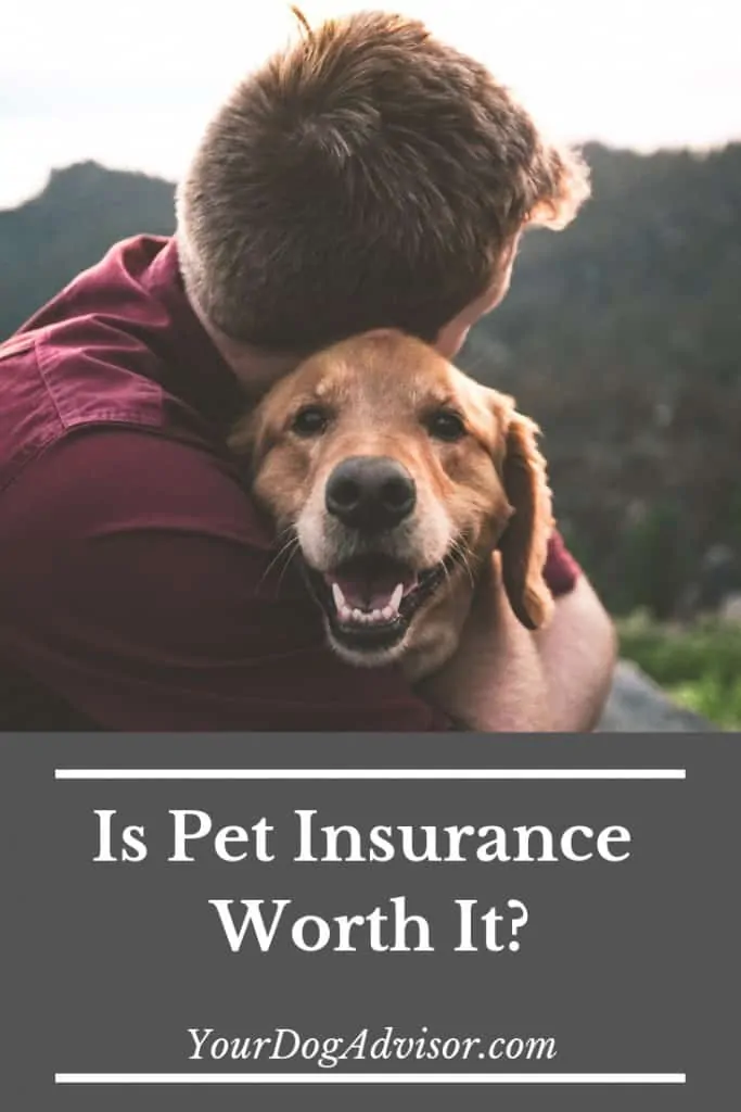 Is Pet Insurance Worth It? 10