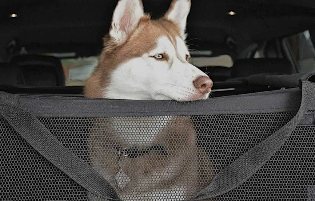 Jeep Dog Kennel Review 1