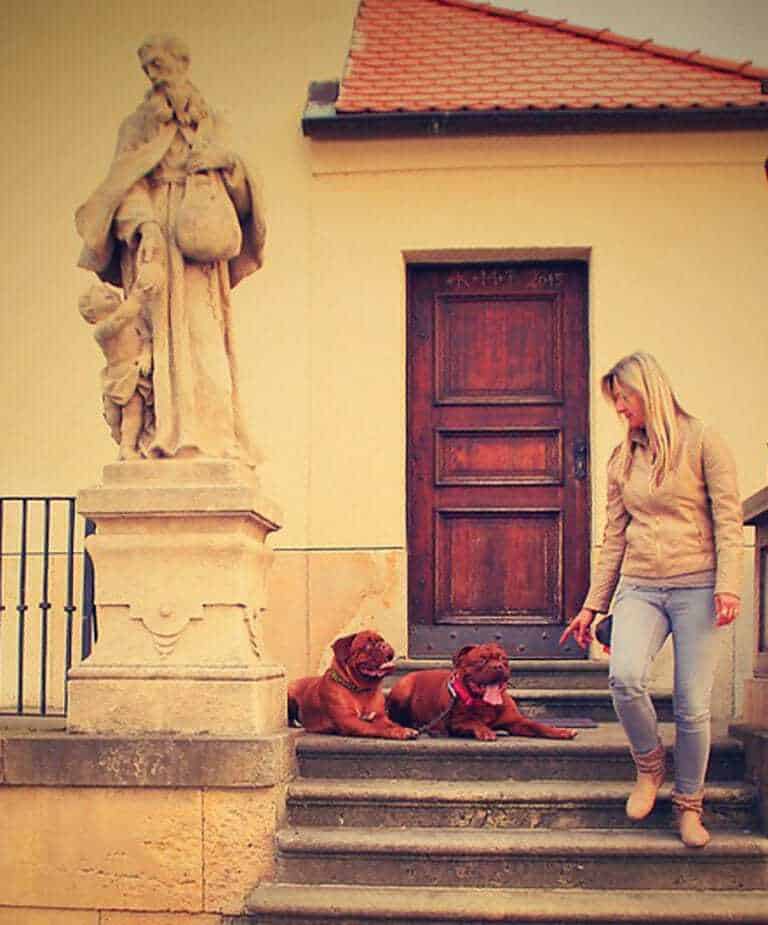 15 Dog Friendly Things to Do in Wisconsin Your Dog Advisor