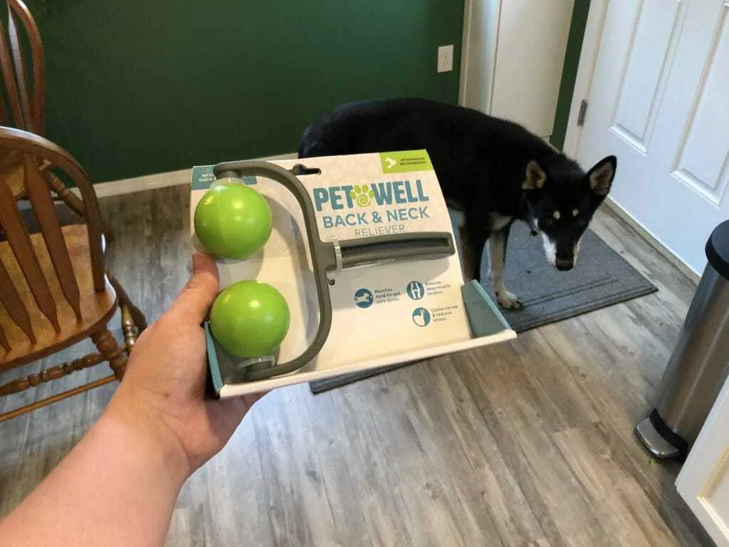 Why Your Dog Totally Needs a Handheld Pet Massager 2