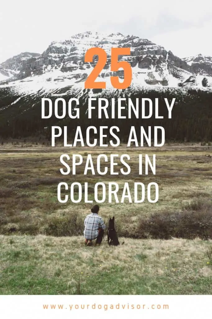 25 Dog Friendly Places and Spaces in Colorado 11