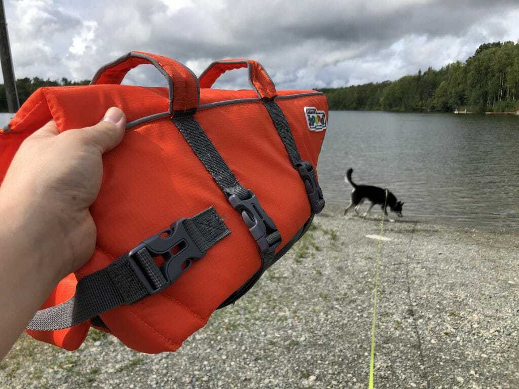 The Ultimate Guide to the Best Dog Life Jacket / Vest Your Dog Advisor