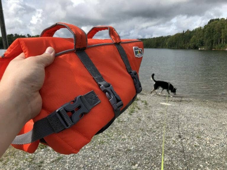 The Ultimate Guide to the Best Dog Life Jacket / Vest Your Dog Advisor
