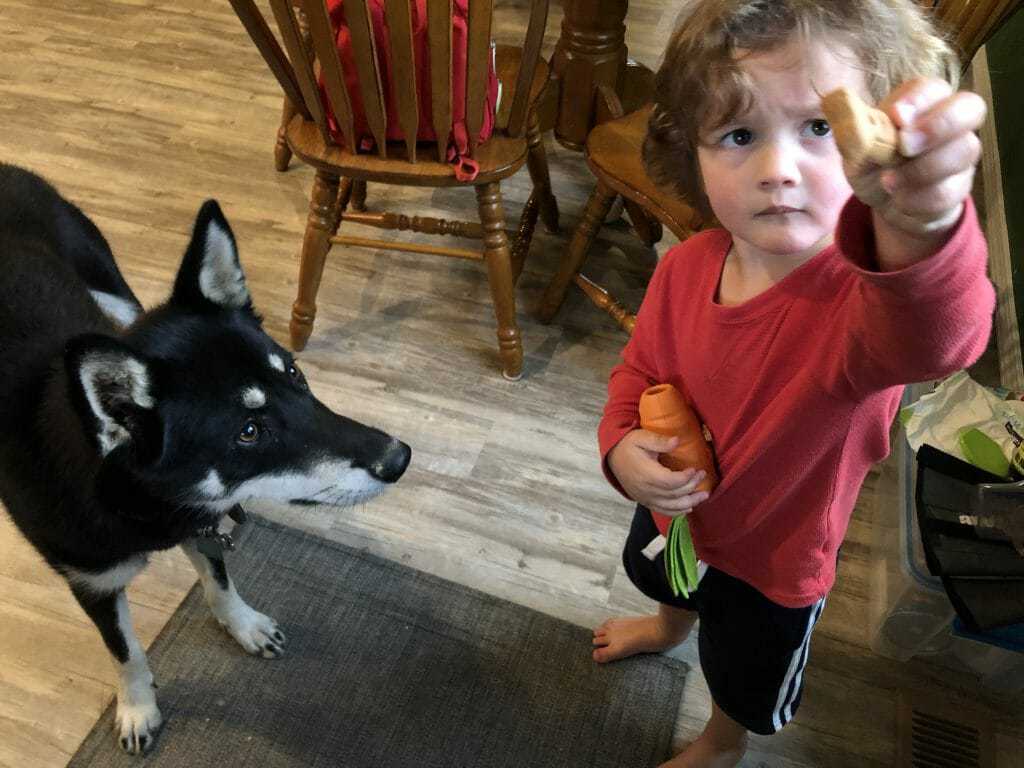 doggy delirious grain free peanut butter bones